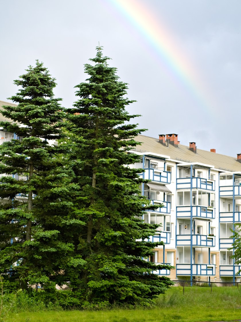 builder Lambertseter